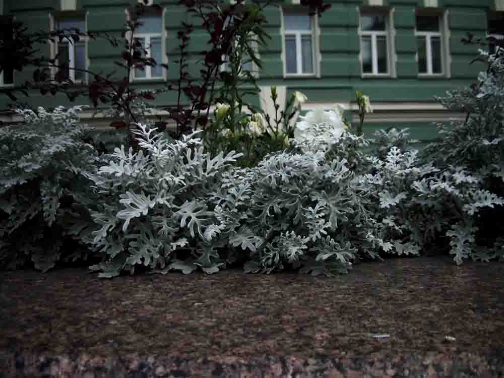 Купить билеты в Большой театр России